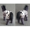 Appaloosa foal (semi-posable)