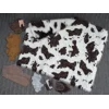 Shaggy calf with random spots - Theodora