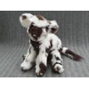 Shaggy calf with random spots - Theodora