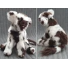 Shaggy calf with random spots - Theodora