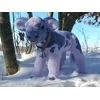 Colorful Holstein - Blueberry (semi-posable)
