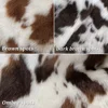 Shaggy calf with random spots - Theodora