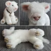 White Highland - Snowflake
