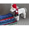 Winter outfit, customizable