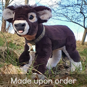 Alpine cattle - Alma (s..