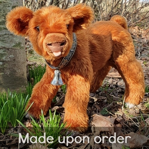 Red Angus - Grace