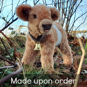 Belted Galloway - Nutmeg