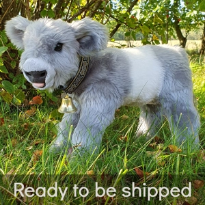 Belted Galloway - Sylvester (semi-posable)