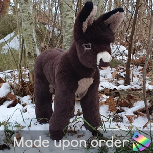 Miniature donkey with dorsal stripe