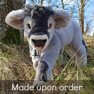 Alpine cattle - Phoebe