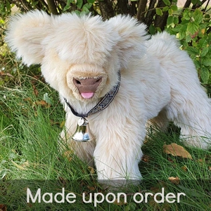 Blonde Highland - Dawn