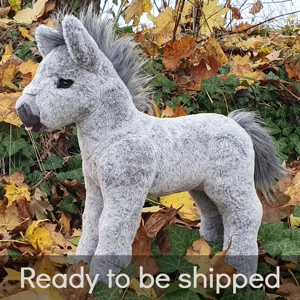 Mottled grey foal (semi..