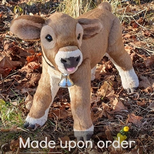 Jersey calf - Margery