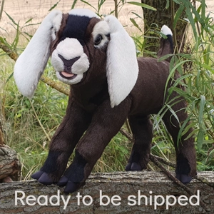 Semi-posable Nubian goat - Maggie