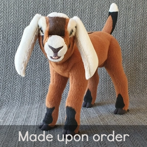 Nubian goat with white ears