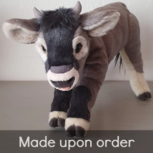 Alpine cattle - Luna (s..