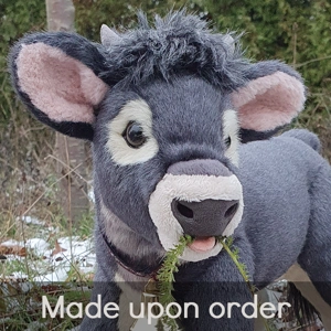 Alpine cattle - Fiona