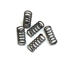 Clutch Spring Set Uprated MB