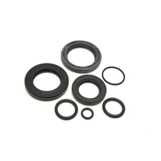 Oil Seal Kit Lui Vega 75 Casa