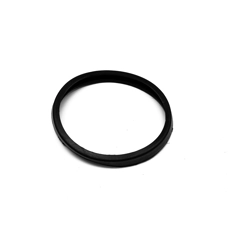 Speedo Sealing Ring BLACK