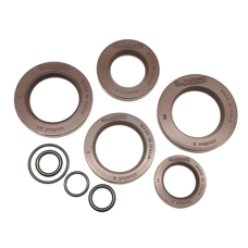 Oil Seal Set Viton - Casa