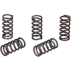 Clutch Springs - BGM