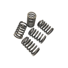 AF Clutch Springs For AF Road 6 Plate Clutch