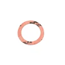 Halite Gasket