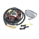 Stator plate 12v 120w Electronic