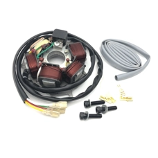 Stator plate 12v 120w Electronic