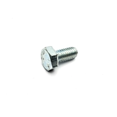 Screw 6 x 12mm Hexagon Set Zink