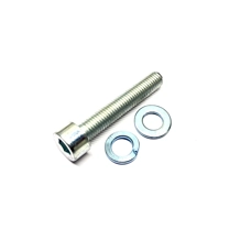 BGM Inlet Manifold Flange Type Screw