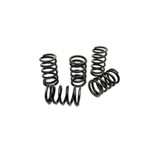 AF Clutch Springs 30% Stronger For AF Road 6 Plate Clutch & Pyphon