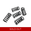 Clutch Spring Set Casa