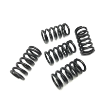 Clutch Spring Set Casa