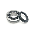 Rear Oversize Hub Bearing With Seal Race-Tour