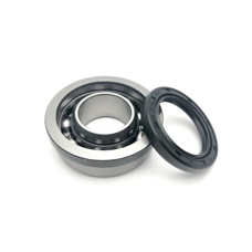 Rear Oversize Hub Bearing With Seal Race-Tour