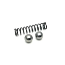 Gear Selector Spring & Ball Bearing Set