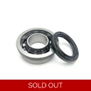 Rear Hub Bearing Race-Tour, MB