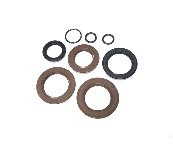 Viton Oil Seal Set