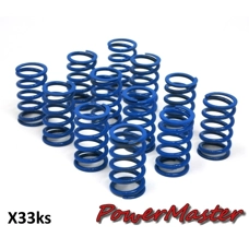 Clutch Spring Set Casa Performance Medium