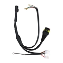 Casaatronic Ignition Loom