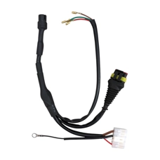 Casaatronic Ignition Loom