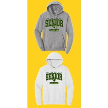 Senior Hoodie 2026