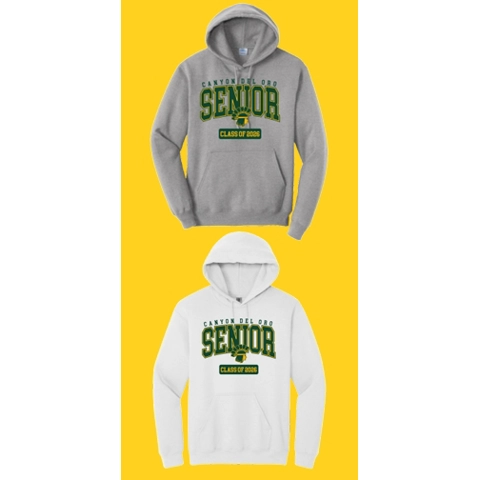 Senior Hoodie 2026