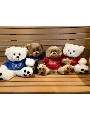 RMHC-SWVA Teddy Bear RMHC-SWVA Teddy Bear