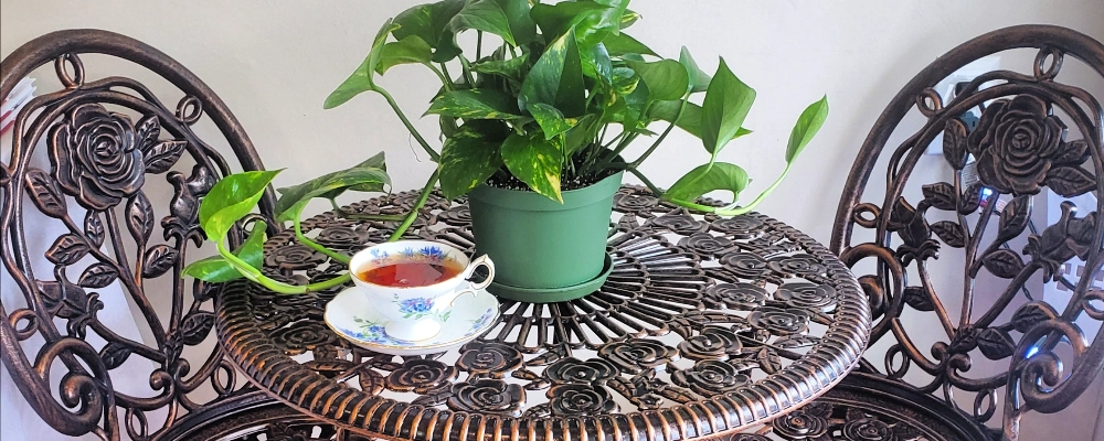 table with plant and tea cup on it.