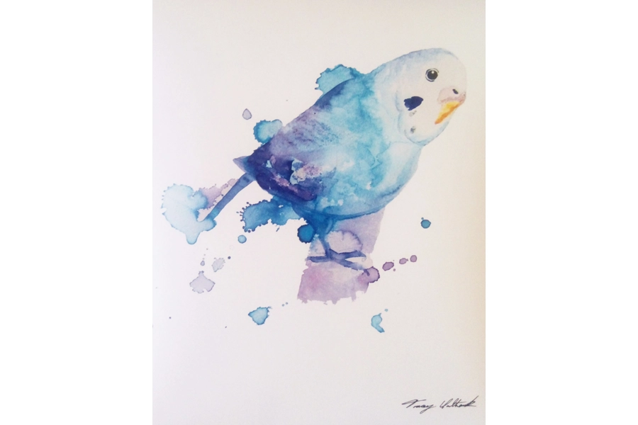 Budgie Art Photo Print 3