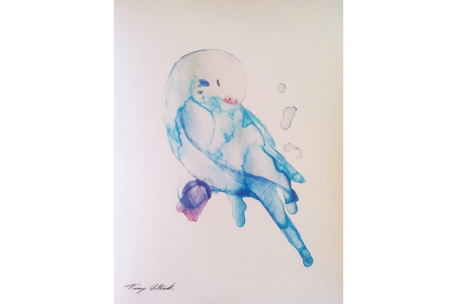 Budgie Art Photo Print 4