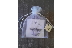 Gemstone Earrings and Matching Pendant